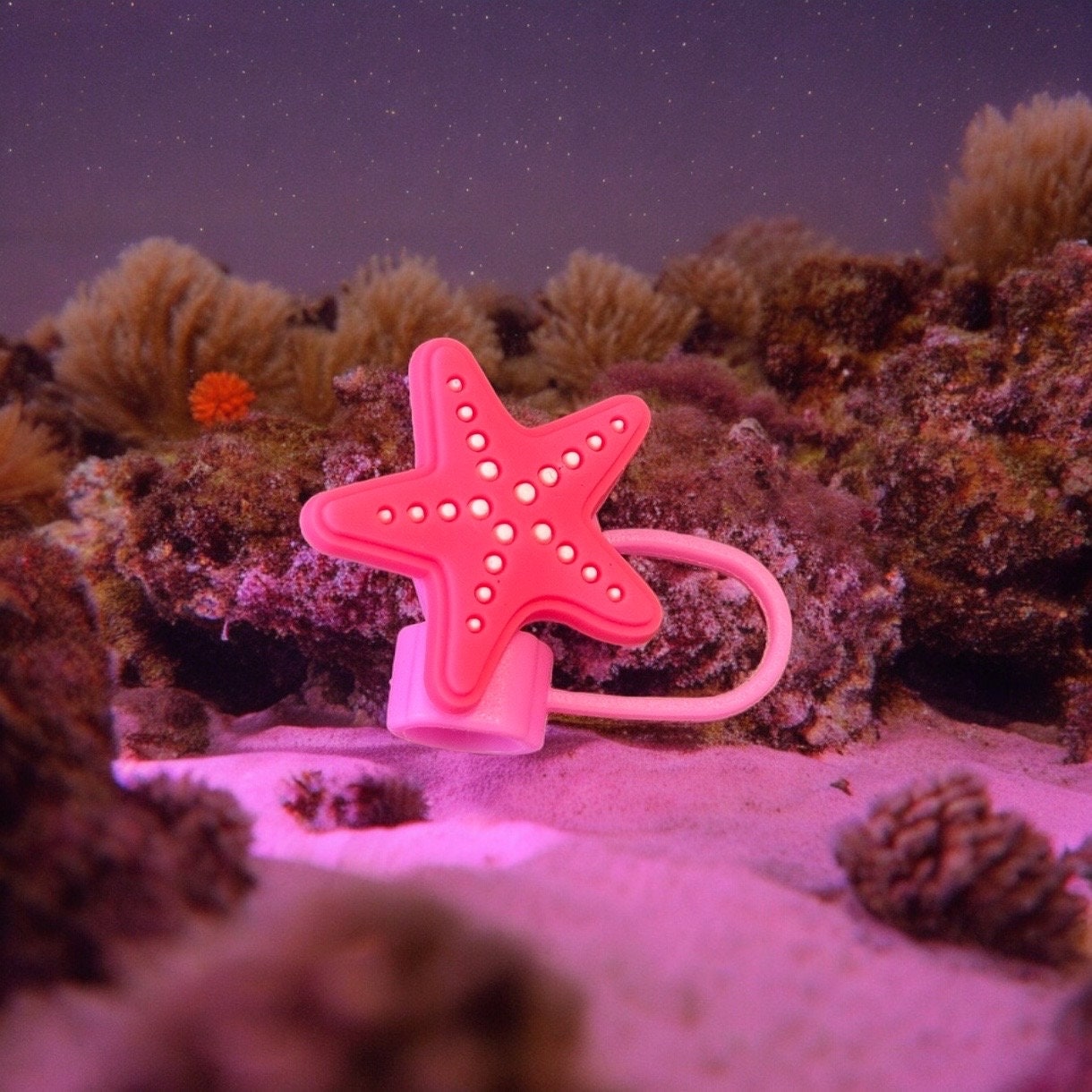 Starfish | Straw Topper 10mm